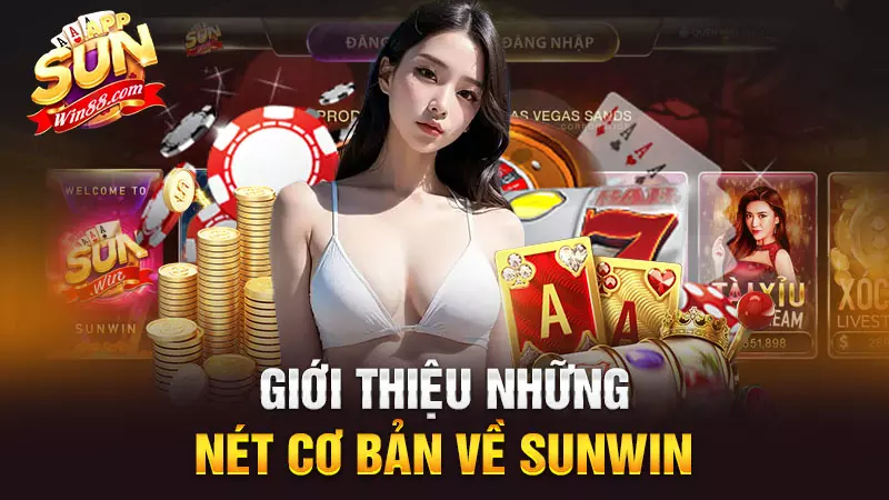 Giới thiệu những nét cơ bản về Sunwin